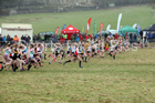Girls under-15s, 2018 Northern Cross Country Champs., Harewood House, Leeds. Photo: David T. Hewitson/Sports for All Pics